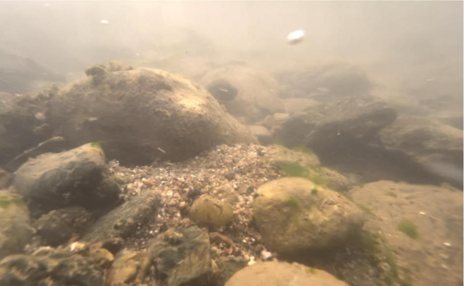Figure 2: The rocky riverbed, captured in this underwater photograph, serves as a natural fish ladder, allowing fish to migrate from the Salween river basin into the Mae Ngao river